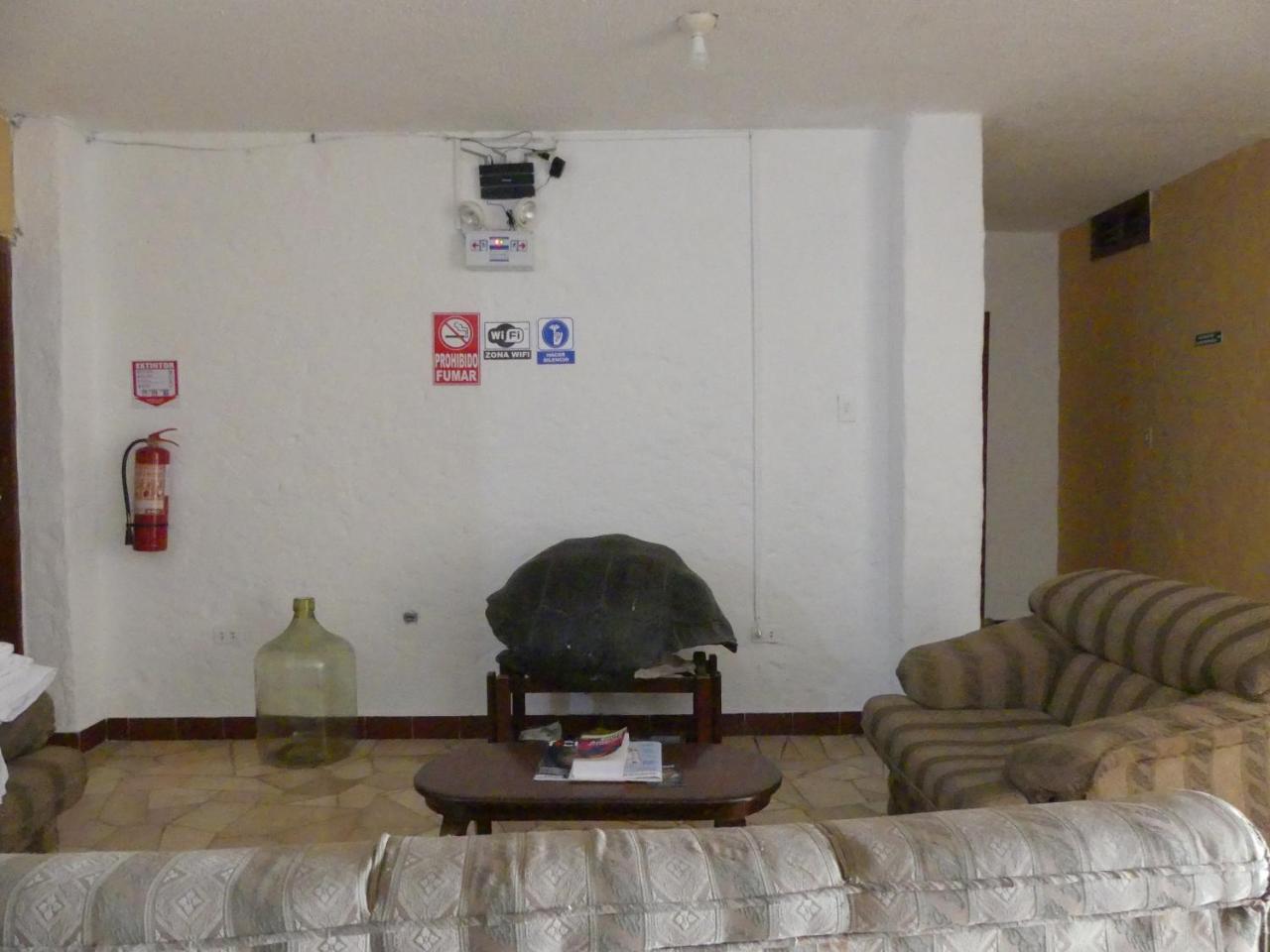 Hostal Estrella De Mar Пуэрто-Айора Экстерьер фото